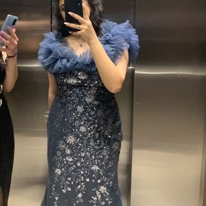 Cinderella Divine Tulle Dress (Gown)